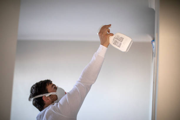 Best Localized Mold Remediation (e.g., coastal areas, humid climates) in Santa Nella, CA